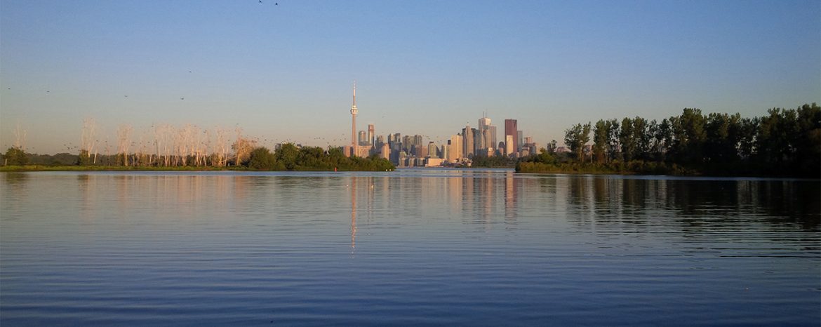 view of Toronto waterfront from the lake