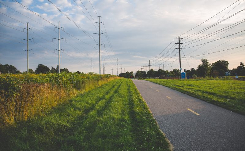 hydro corridor meadow at sunset