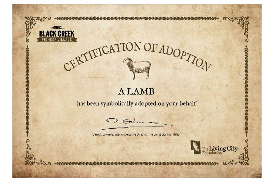 Lamb Certification of Adoption