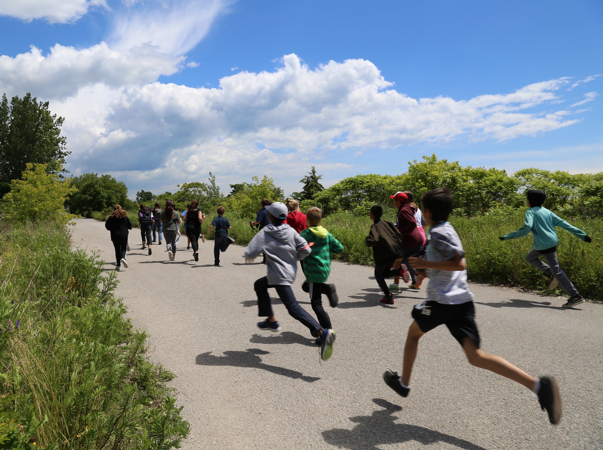 students explore nature trail at Tommy Thompson Park