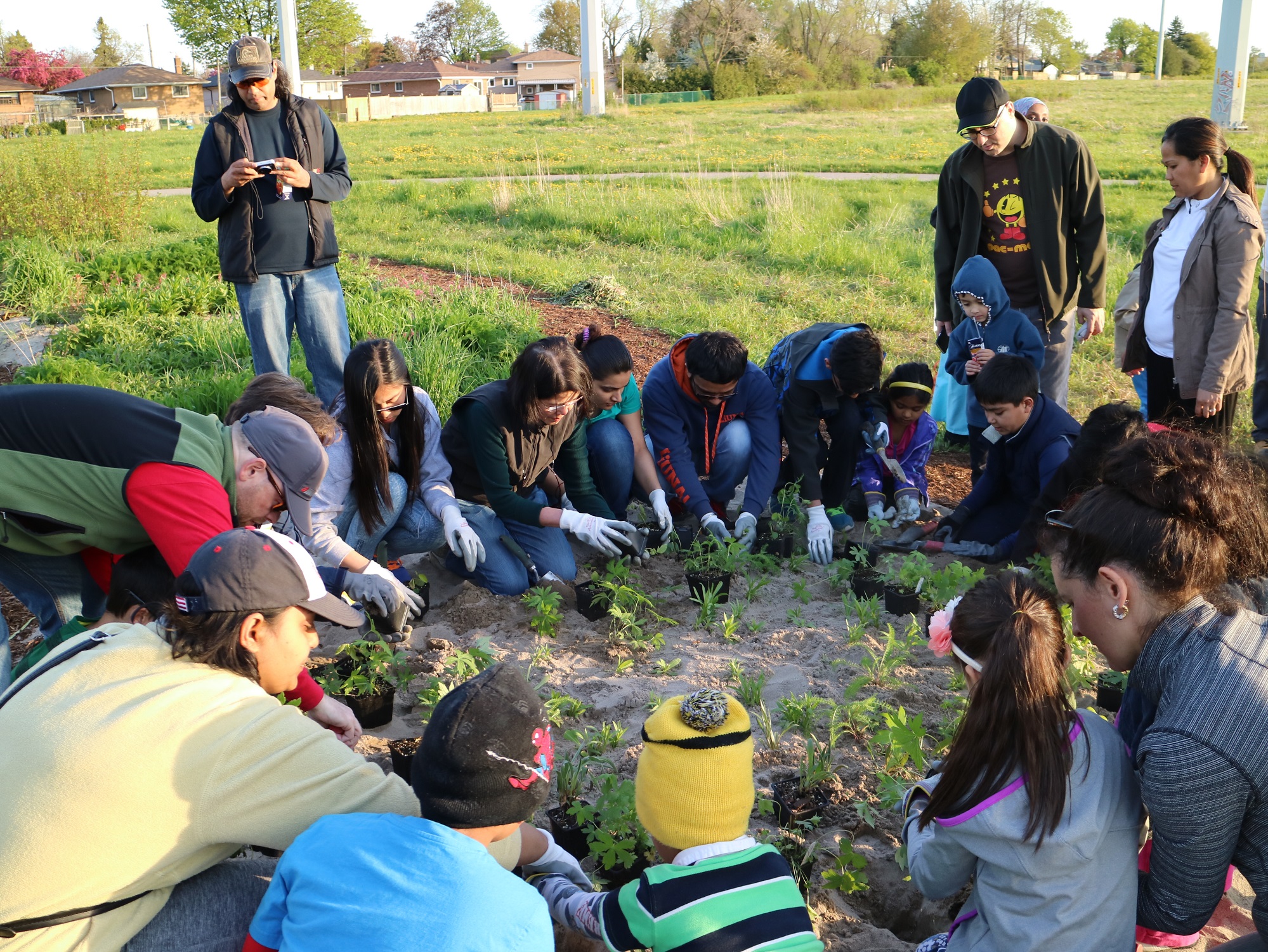 local residents take part in The Meadoway community engagement planting event