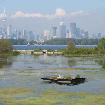 view of Toronto skyline from Tommy Thompson Park