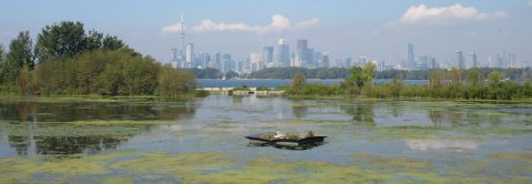 view of Toronto skyline from Tommy Thompson Park