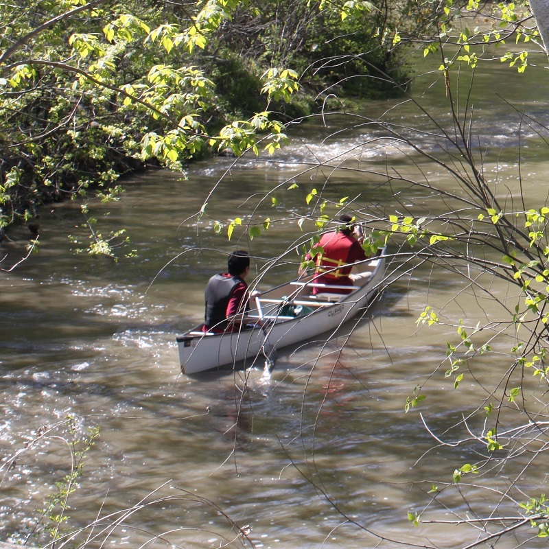 paddlers on Humber River