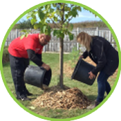 community members take part in tree planting event