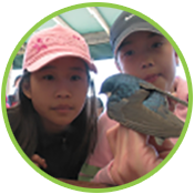 students visit Tommy Thompson Park bird research station