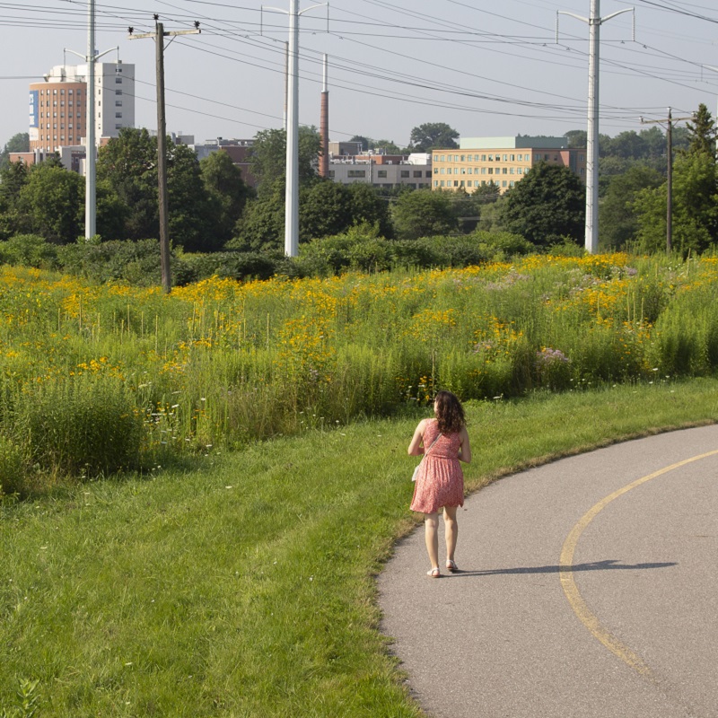 woman walks alongside wildflower meadow