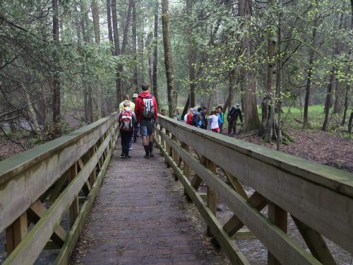Environmental Leaders of Tomorrow students explore forest trail at Claremont Nature Centre