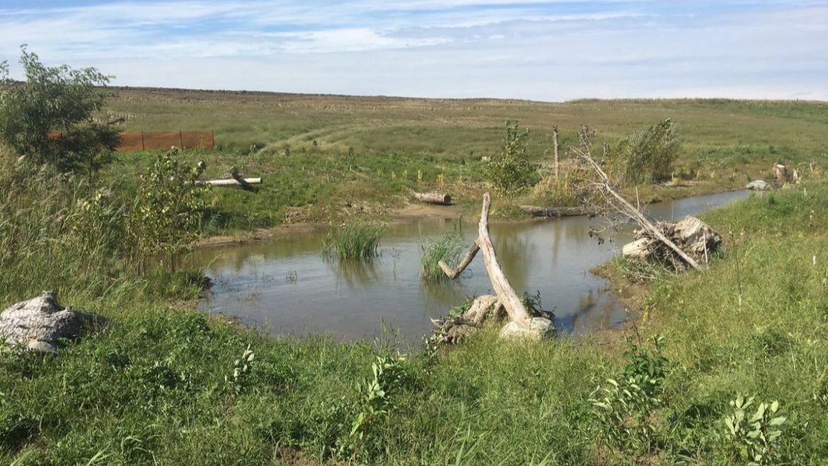 wetland