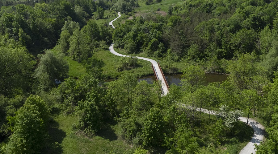 A trail through a natural area