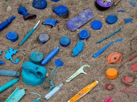 Plastics found on a beach