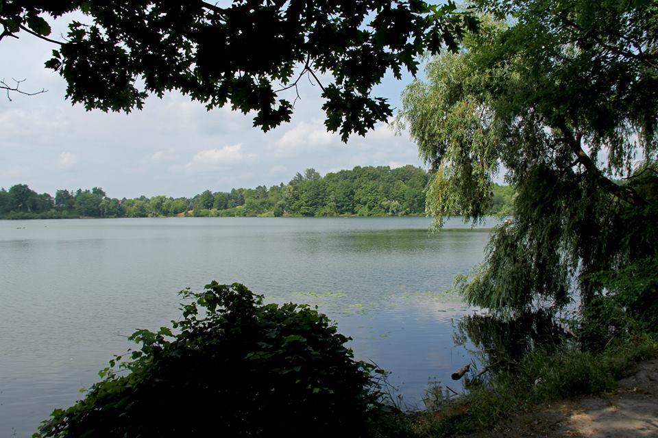 A view of a lake