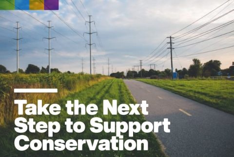 Take the next step to support conservation graphic