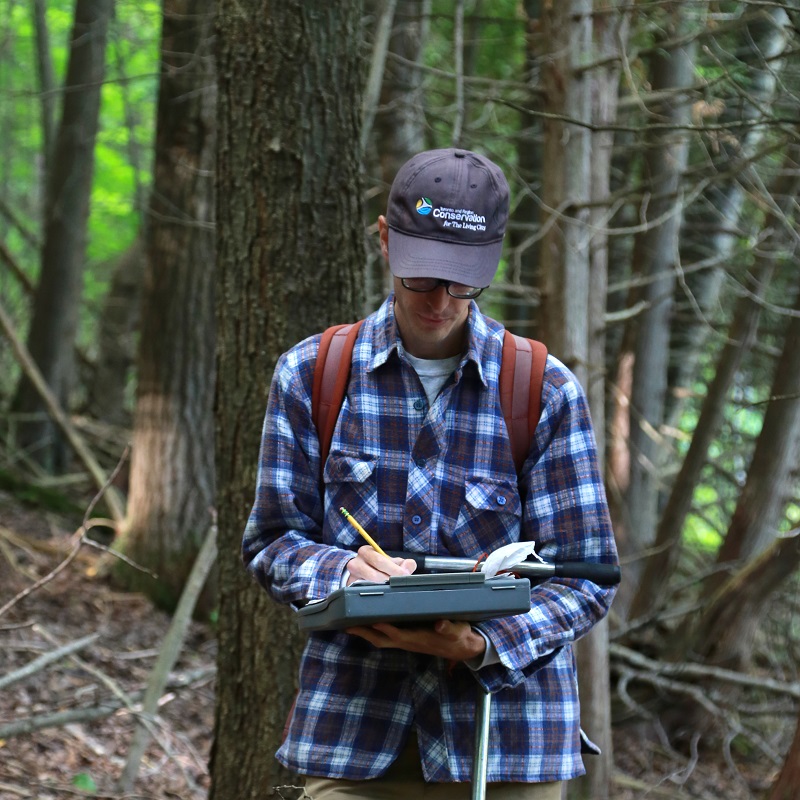 TRCA team member monitors local flora and fauna species in forest