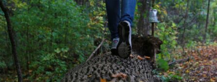 young woman balances on log in forest