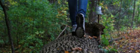 young woman balances on log in forest
