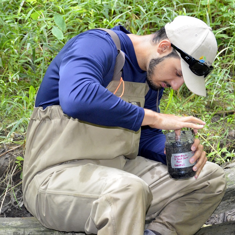 TRCA team member conducts benthos monitoring in the field