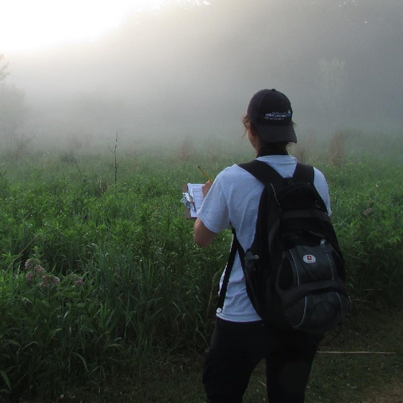 TRCA monitoring team member in the field listening for bird song early in the morning
