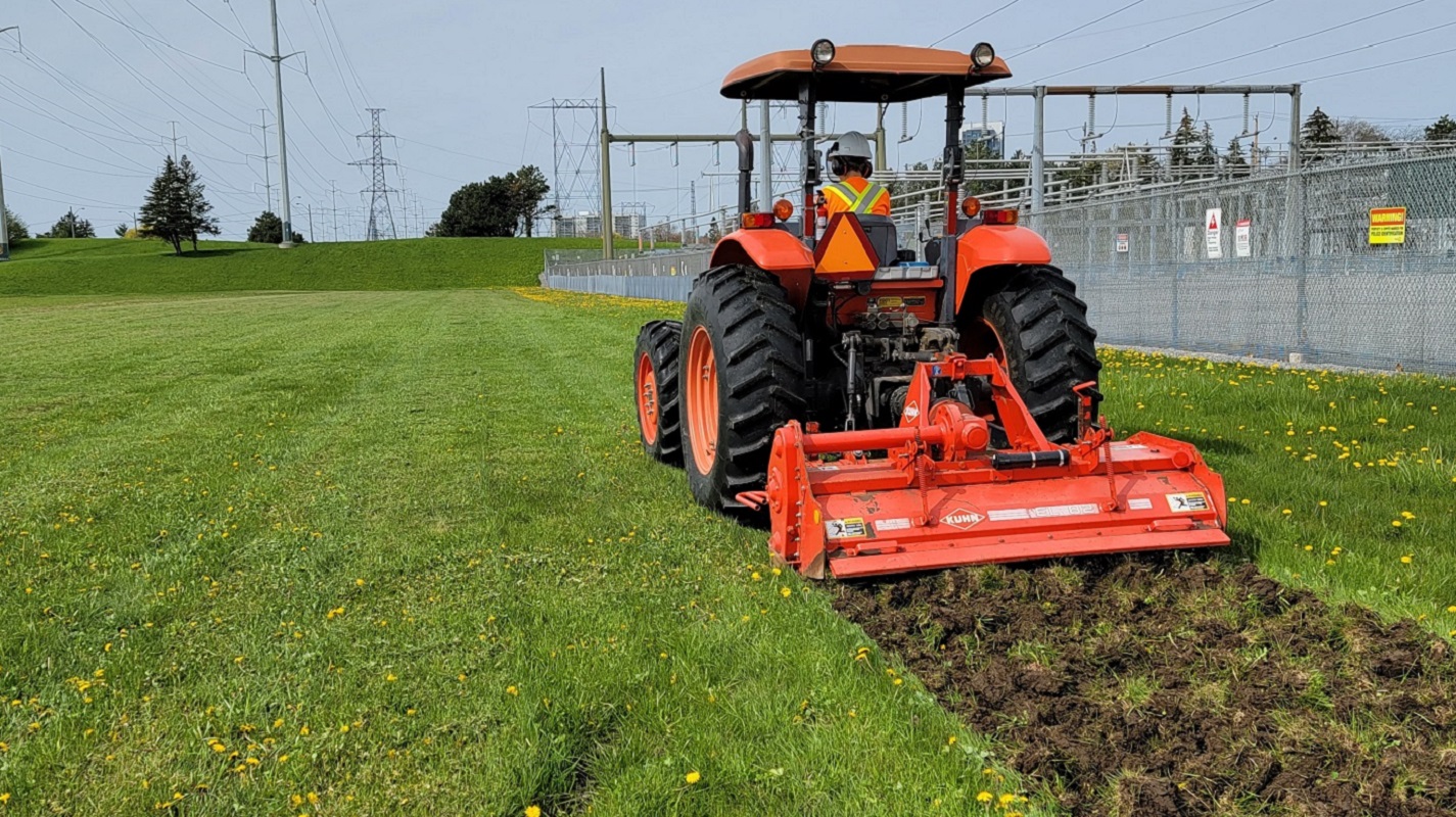 TRCA crew at work restoring meadow habitat