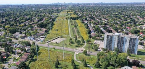 aerial view of Scarborough Centre Butterfly Trail at Markham Road looking southwest