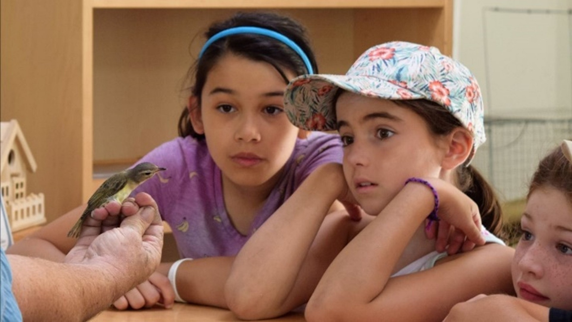 students visit the Bird Research Station at Tommy Thompson Park