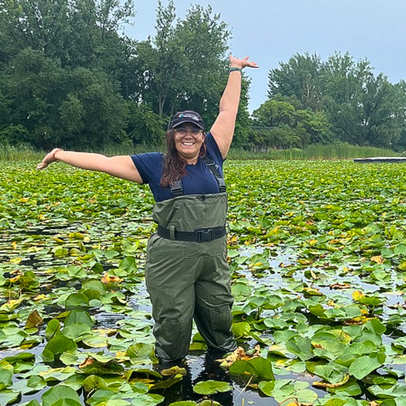 post-secondary student takes part in field studies program at local wetland
