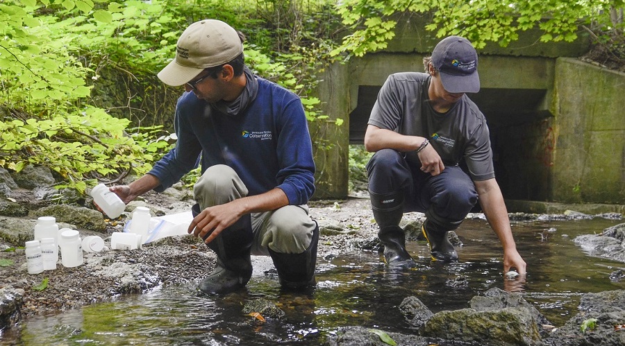 TRCA field staff conduct water quality monitoring