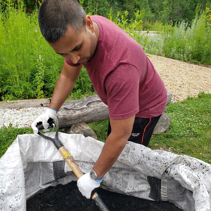 community volunteer takes part in maintenance of the Medicine Wheel Garden at Heart Lake Conservation Park
