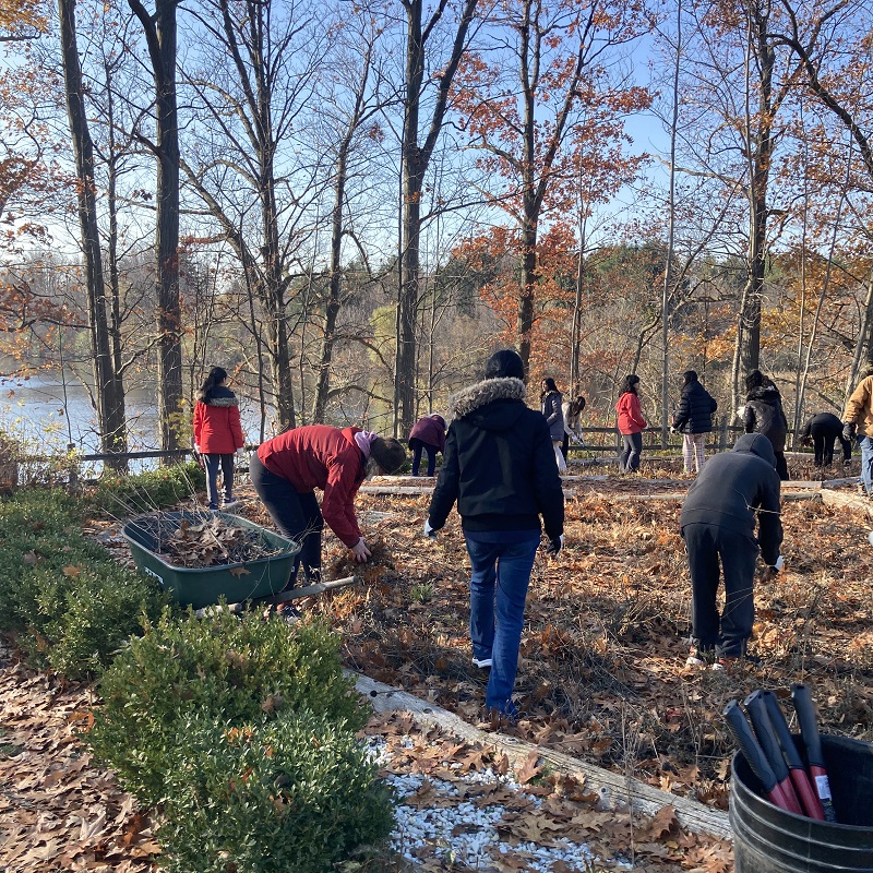 community volunteers take part in maintenance of the Medicine Wheel Garden at Heart Lake Conservation Park
