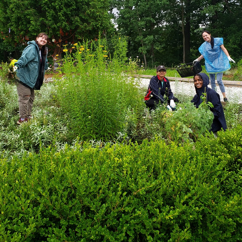 community volunteers take part in maintenance of the Medicine Wheel Garden at Heart Lake Conservation Park