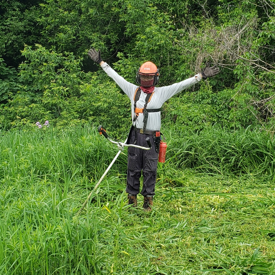 a volunteer takes part in a TRCA meadow habitat restoration project
