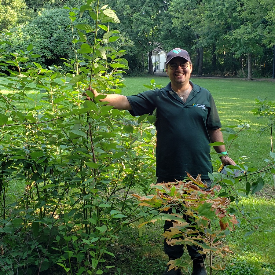 a volunteer takes part in a TRCA tree planting event