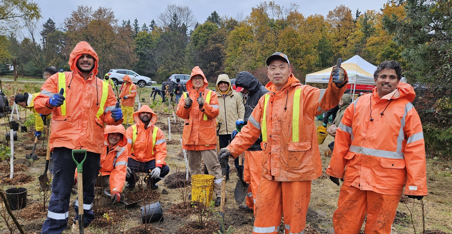 volunteers take part in a TRCA community tree planting event