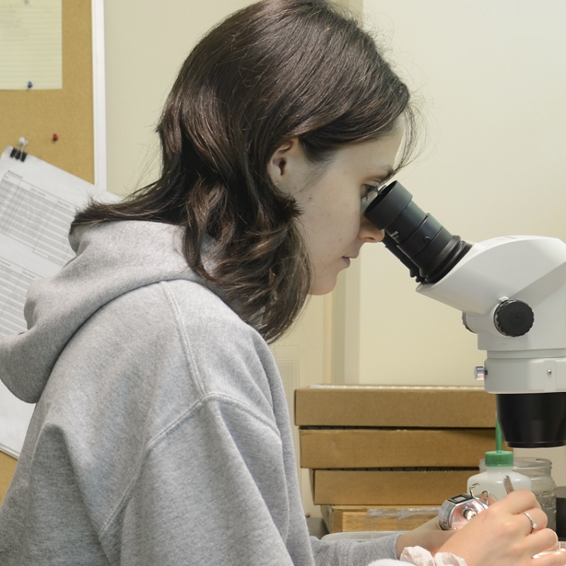a student in a lab uses a microscope to study samples