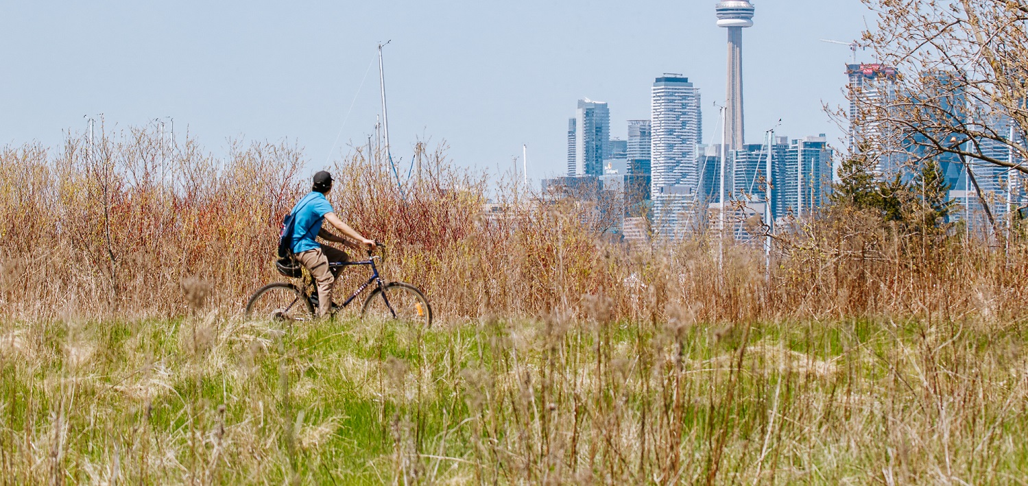 a cyclist views the Toronto skyline from a trail at Tommy Thompson Park