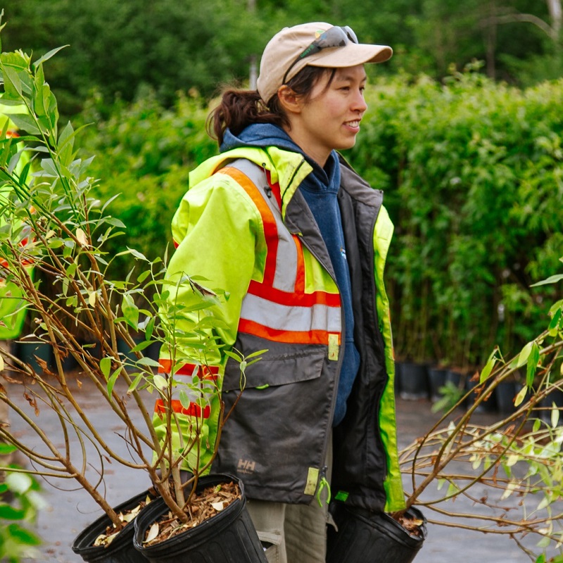 a young Restoration team member at the TRCA Nursery prepares for a planting